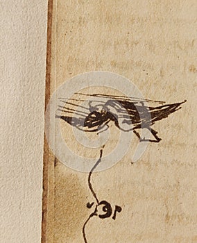 Manuscript, drawings, birds by Leonardo Da Vinci in the old book The Codice Sul Volo, by E. Rouveyre , 1893 photo