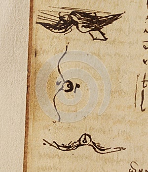 Manuscript, drawings, birds by Leonardo Da Vinci in the old book The Codice Sul Volo, by E. Rouveyre , 1893 photo