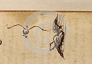 Manuscript, drawings, birds by Leonardo Da Vinci in the old book The Codice Sul Volo, by E. Rouveyre , 1893 photo