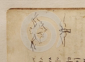 Manuscript, drawings, birds by Leonardo Da Vinci in the old book The Codice Sul Volo, by E. Rouveyre , 1893 photo