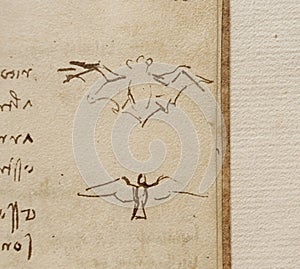 Manuscript, drawings, birds by Leonardo Da Vinci in the old book The Codice Sul Volo, by E. Rouveyre , 1893 photo