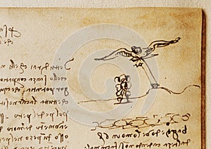 Manuscript, drawings, birds by Leonardo Da Vinci in the old book The Codice Sul Volo, by E. Rouveyre , 1893 photo