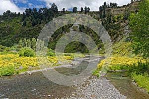 Manuwautu Scenic Route through the Oroua River gorge in New Zealand