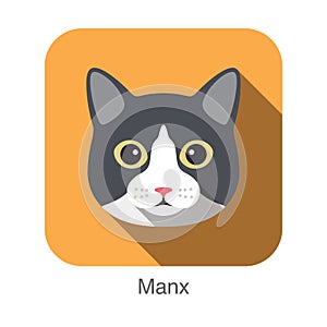 Manx Cat, Cat breed face cartoon flat icon design