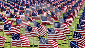Many American flags on display for Memorial Day or July 4th.