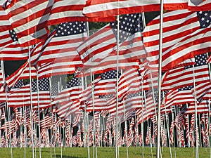 Mnoho americký vlajky v tráva 