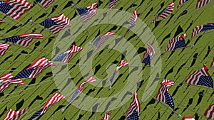 Many American flags in green field.