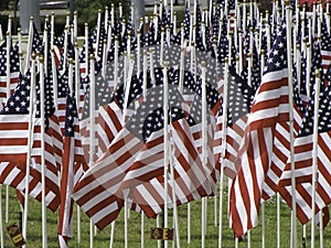 Many american flags