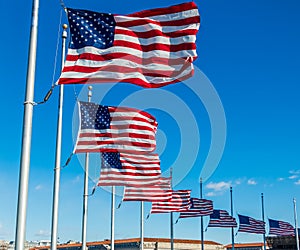 Many American Flags Waving at Washington Monument - Washington, D.C., USA