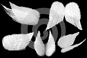 Many Angles of Guardian Angel Wings Isolated on Bl