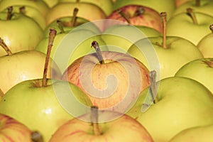 Many apples background. fresh fruits. healthy food. vegetarian nutrition