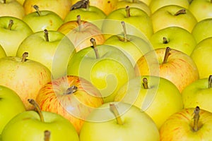 Many apples background. fresh fruits. healthy food. vegetarian nutrition