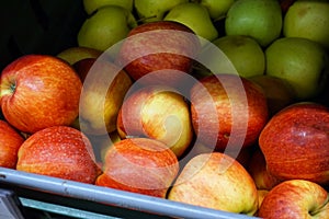 Many apples on the store counter