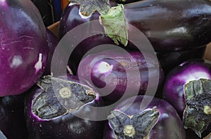 Many aubergine vegetables