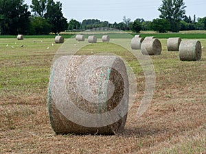 Many Bales of Hay in the Countryside in Spring Time in Italy