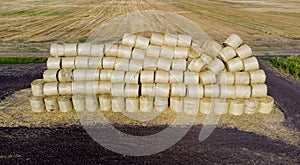 Many bales rolls straw after harvest collected together field autumn summer day.