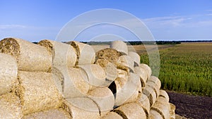 Many bales rolls straw harvest collected together field sunny autumn summer day.