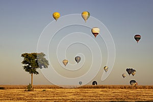 Balloons over a field in the sky at European Balloon Festival in Igualada, Barcelona photo