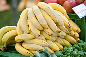 Many bananas on fruit market