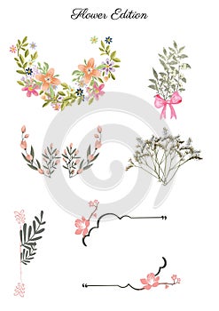 Many beautiful Flowers Vectors