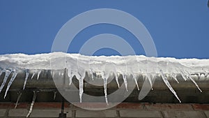 Many beautiful icicles hang from the roof