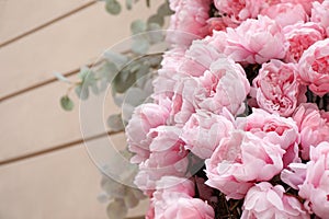 Many beautiful peony flowers on beige wall of building, closeup. Space for text