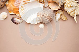 Many beautiful sea shells on beige background, space for text, top view
