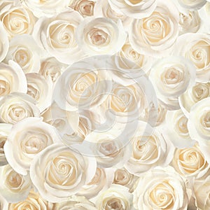 Many beautiful white roses as background, top view