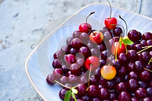 Many berries ripe cherries on a white plate in the garden