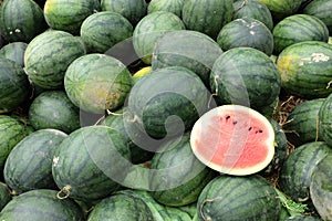 Many big sweet green watermelons and one cut half watermelon