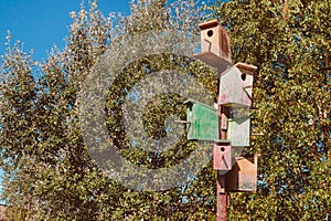 Many birdhouses hang on one post.