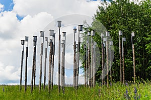 Many birdhouses on poles in a meadow