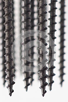 Many black screws hang vertically on a white background like icicles. Close-up. Hardware, ironware, ironmongery, fasteners, photo