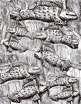 Many black and white fishes, fish pattern drawing