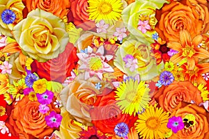 Many blooming coreopsis flower and different flowers abstract background.