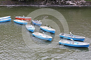Many boat in the river.