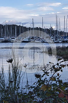 many boats docked at the marina in gig harbor