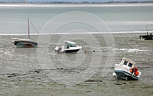 many boats on the muddy beach on Cancale town