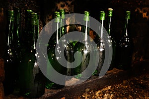 Many bottles of alcohol drinks on shelf in cellar