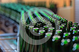 Many bottles on conveyor belt