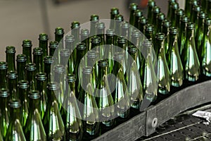 Many bottles on conveyor belt