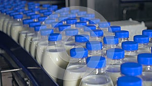 Many bottles of milk on a conveyor belt at milk production plant.