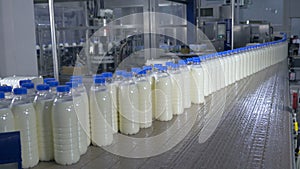 Many bottles of milk on a conveyor belt at milk production plant.