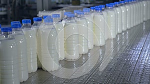 Many bottles of milk on a conveyor belt at milk production plant.