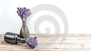 Many bouguet of violet purple lavendula lavender flowers herbs in old brown vases pharmacy bottle, on white background and