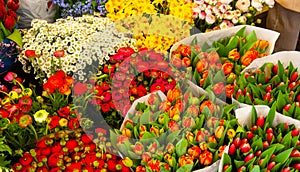 many bouquets with flowers for sale