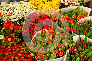 many bouquets with flowers for sale