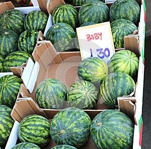many boxes of Baby Watermelon with tag price photo