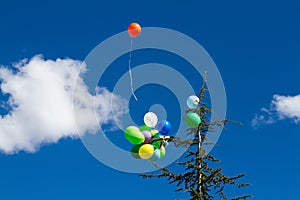 Many bright baloons in the blue sky