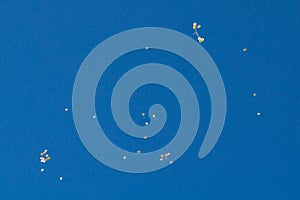 Many bright baloons in the blue sky